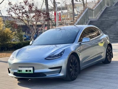 2021年3月 特斯拉 Model 3 改款 標(biāo)準(zhǔn)續(xù)航后驅(qū)升級(jí)版圖片