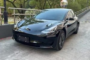 2020年11月特斯拉Model3