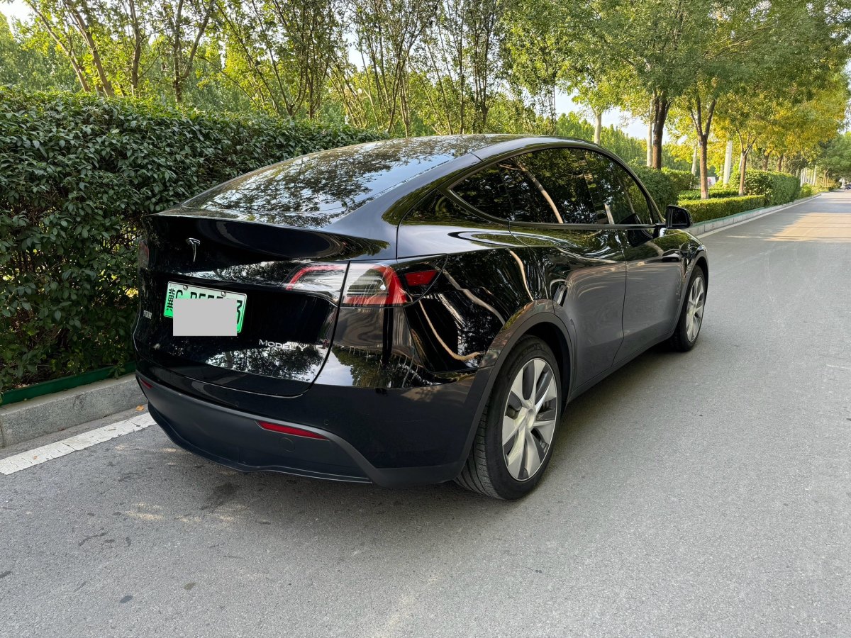 特斯拉 Model Y  2020款 改款 長(zhǎng)續(xù)航后輪驅(qū)動(dòng)版圖片