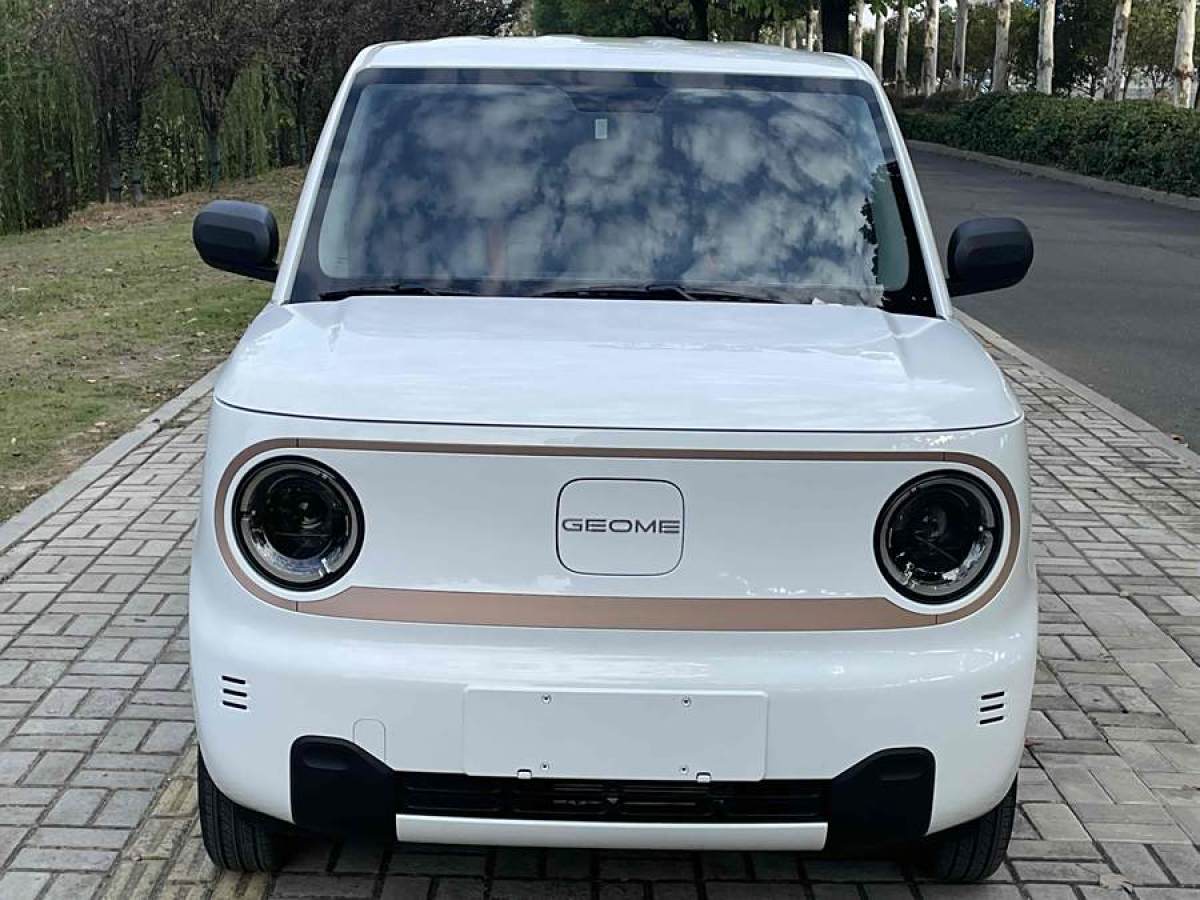 吉利 熊貓mini  2024款 熊貓mini 200km 龍騰版圖片