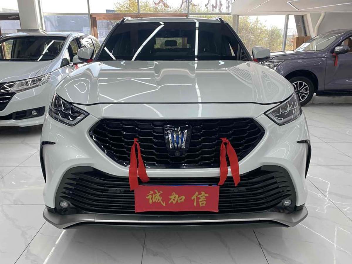 豐田 皇冠陸放  2022款 2.5L HEV四驅(qū)尊貴版圖片