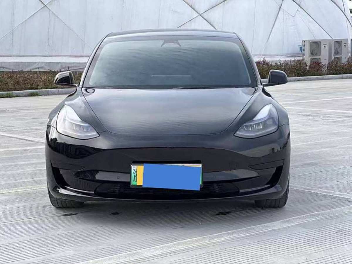 2022年3月特斯拉 Model 3  2022款 改款 后輪驅(qū)動版