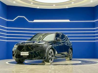 2024年4月 寶馬 寶馬X5 xDrive 40Li 尊享型M運(yùn)動(dòng)曜夜套裝圖片