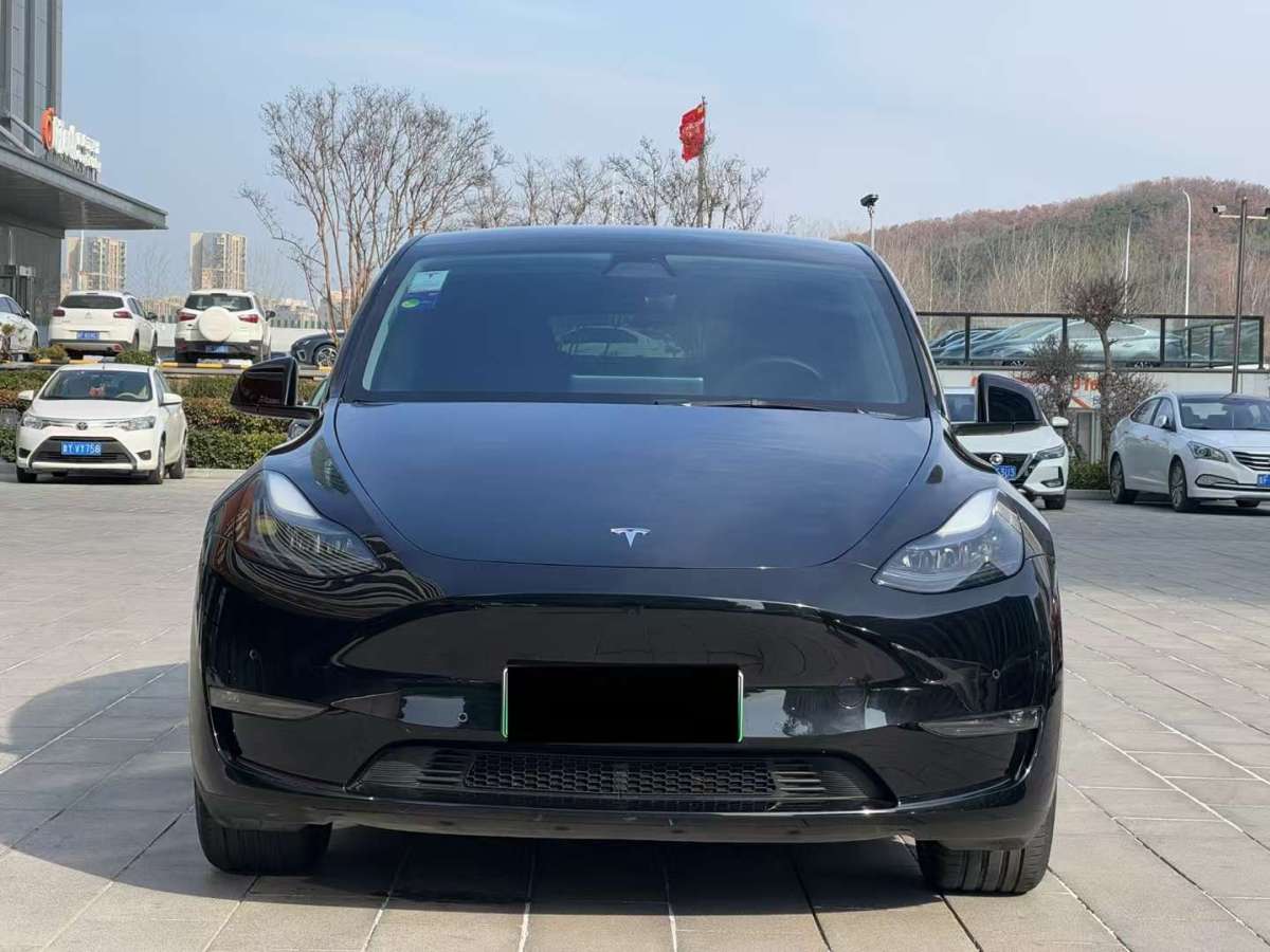 特斯拉 Model Y  2022款 長(zhǎng)續(xù)航全輪驅(qū)動(dòng)版圖片