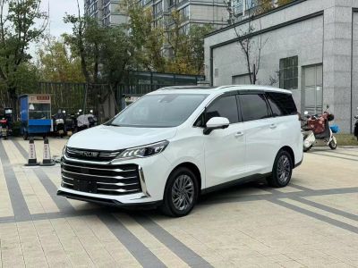 2021年1月 WEY 玛奇朵 1.5L DHT原萃版图片