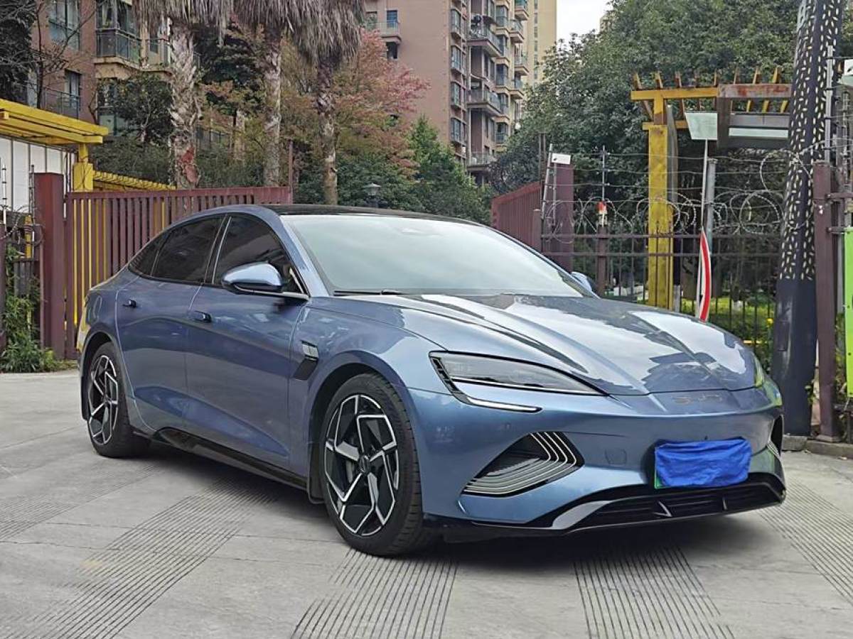 比亞迪 海豹  2022款 700km 長(zhǎng)續(xù)航后驅(qū)版圖片