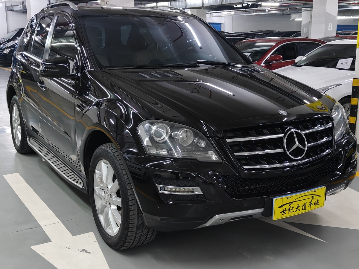 奔馳 奔馳M級(jí)  2010款 ML 350 4MATIC豪華型特別版圖片