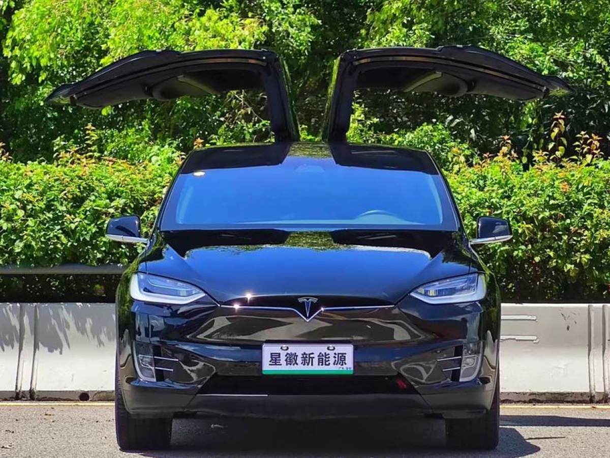 特斯拉 Model X  2020款 長續(xù)航升級(jí)版圖片