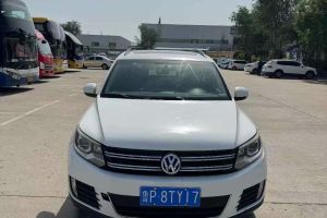 途觀 大眾 1.8TSI 自動兩驅(qū)30周年紀(jì)念版