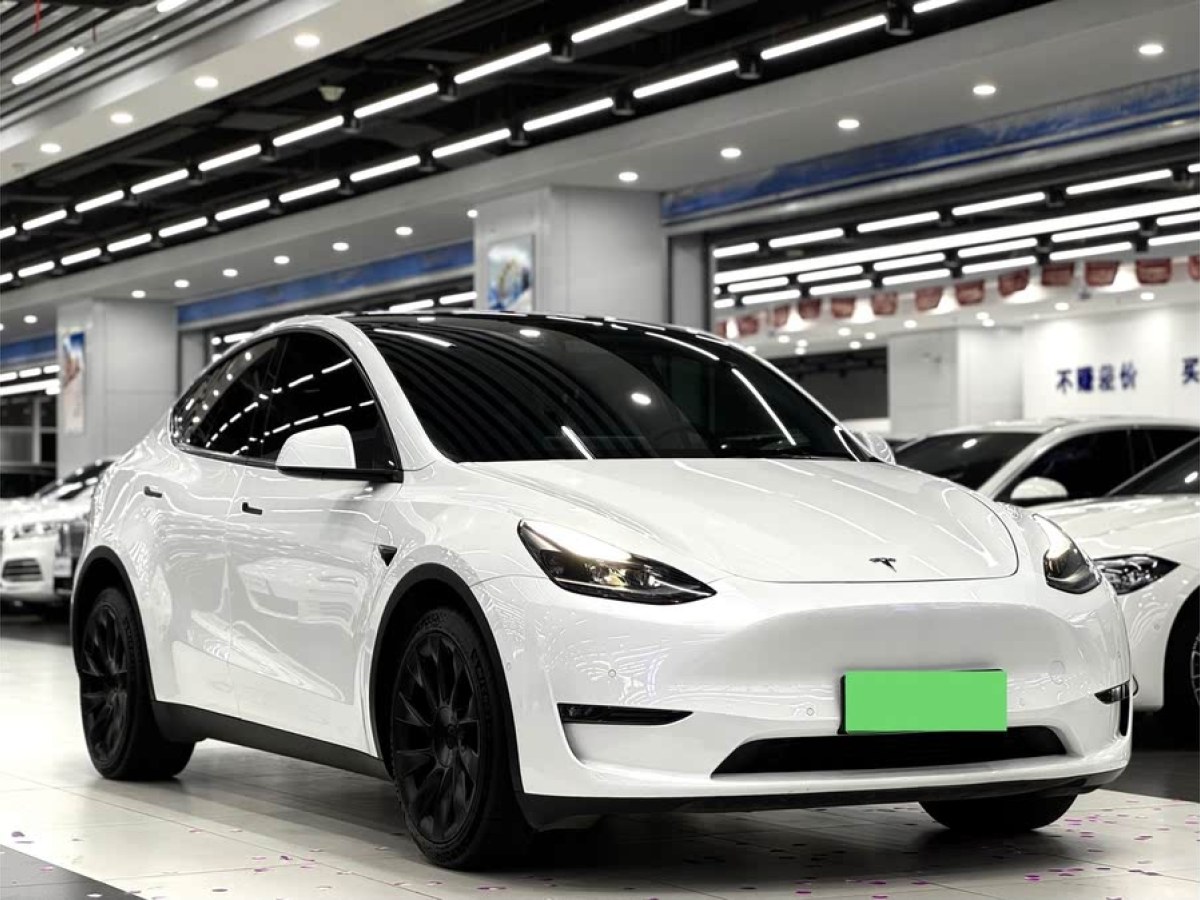 特斯拉 Model Y  2021款 長續(xù)航全輪驅(qū)動版 3D7圖片