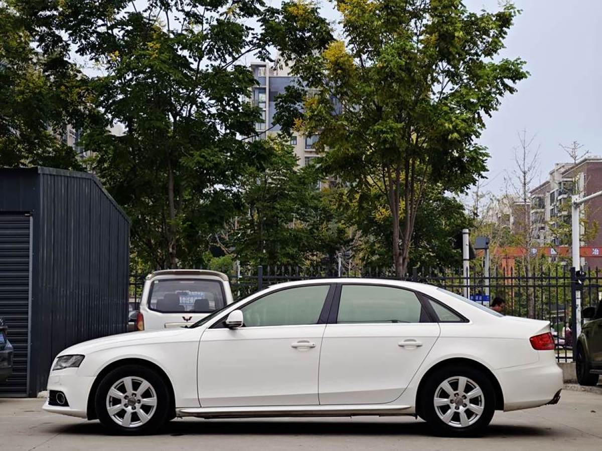 奧迪 奧迪A4L  2012款 2.0 TFSI 自動舒適型圖片