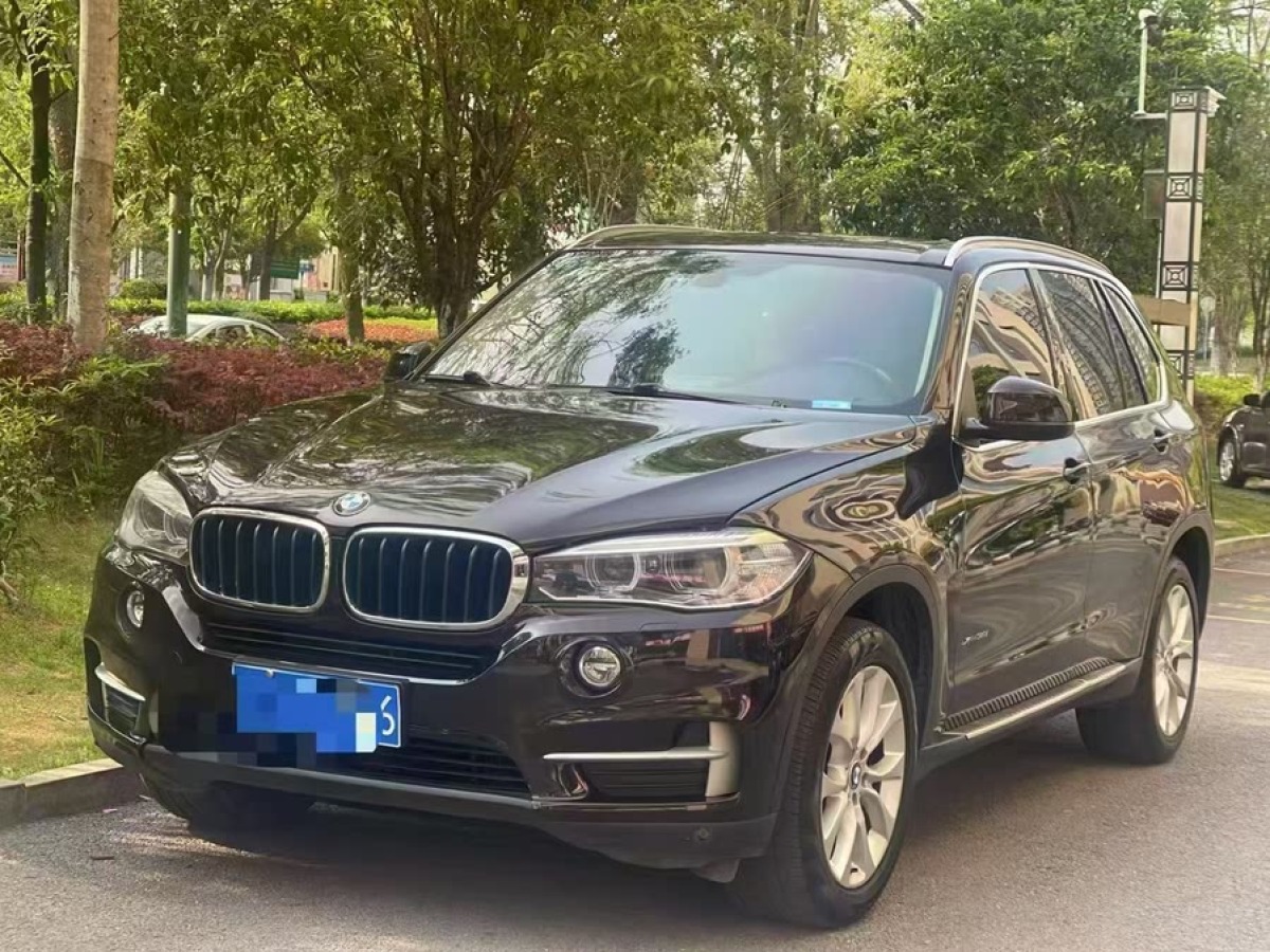 寶馬 寶馬X5  2014款 xDrive35i 領(lǐng)先型圖片