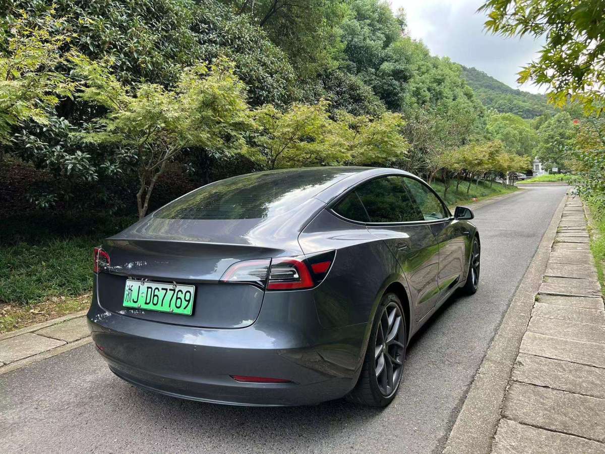 特斯拉 Model Y  2021款 Performance高性能全輪驅(qū)動版 3D6圖片