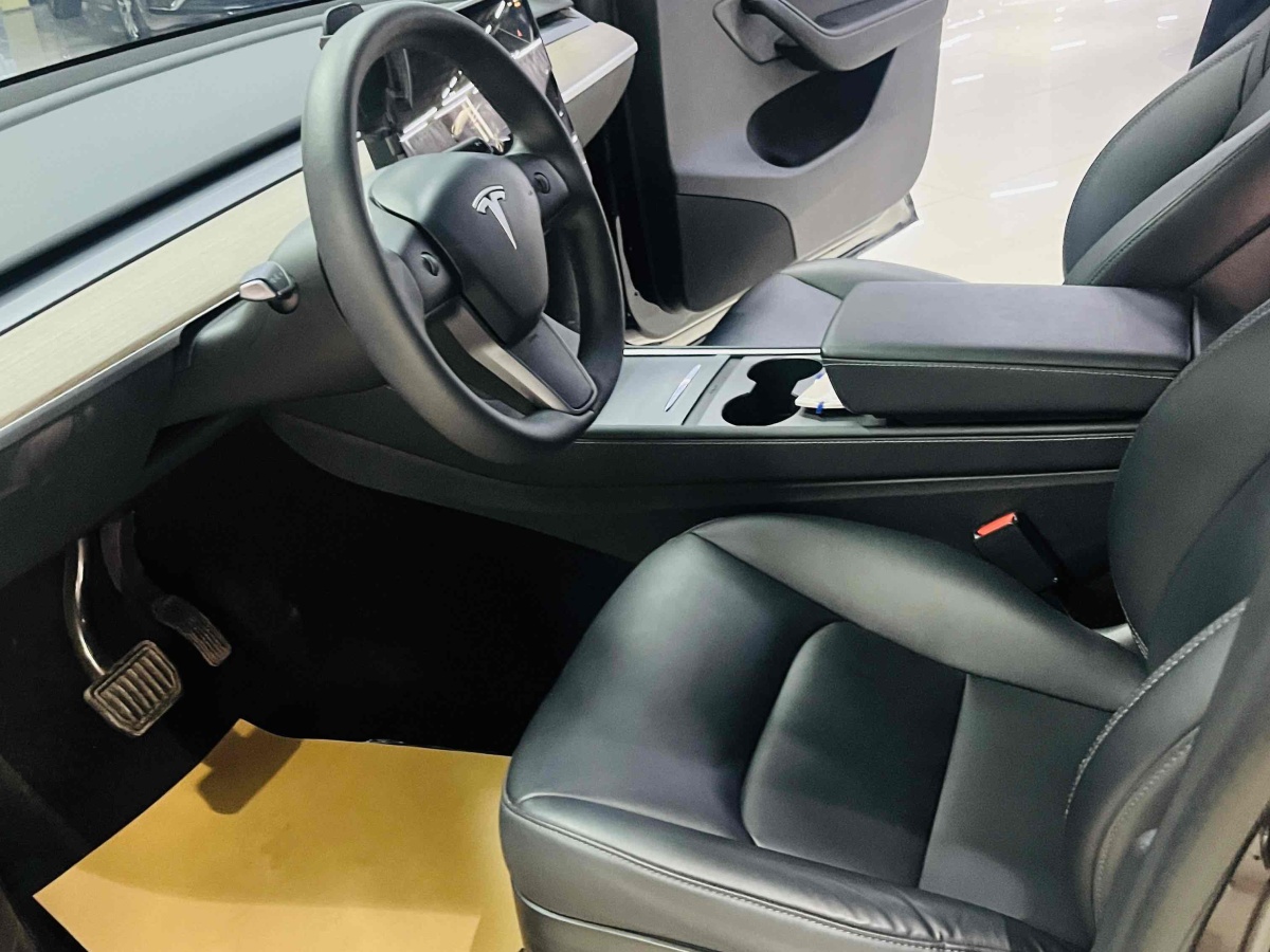 特斯拉 Model 3  2022款 后輪驅(qū)動版圖片