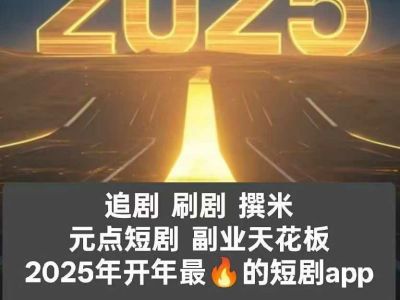 2025年1月 恒信致遠 恒信致遠V級 2.0T 世瑞版圖片