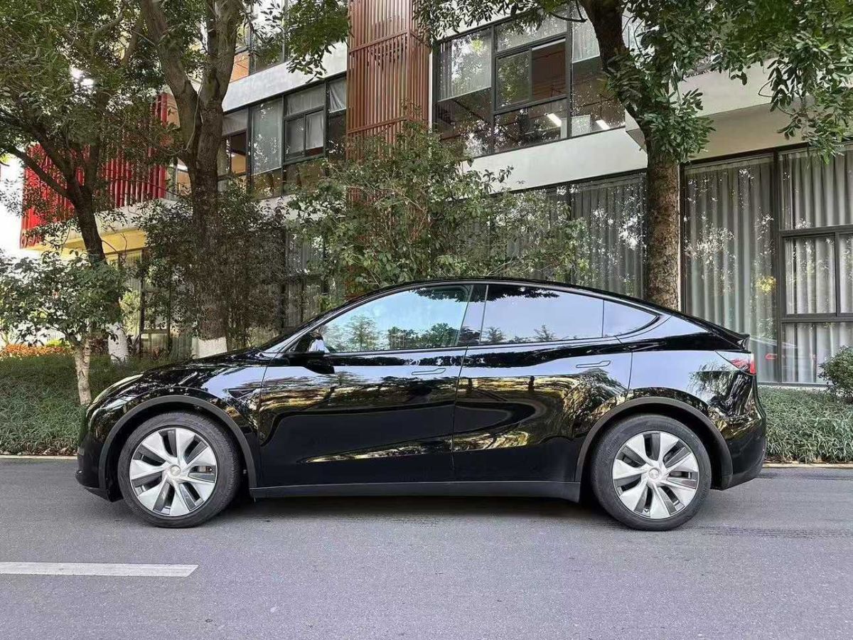 特斯拉 Model Y  2022款 Performance高性能全輪驅(qū)動(dòng)版圖片