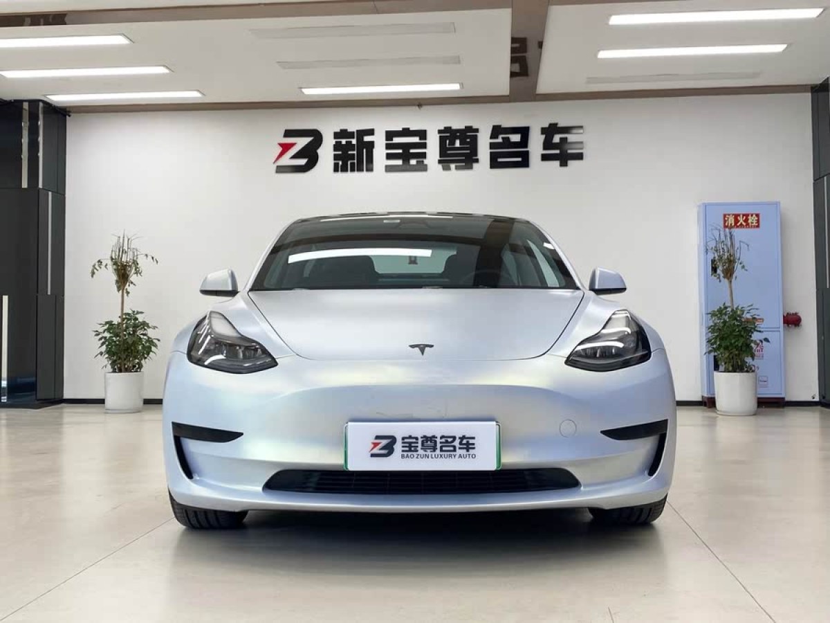 特斯拉 Model 3  2022款 后輪驅(qū)動版圖片