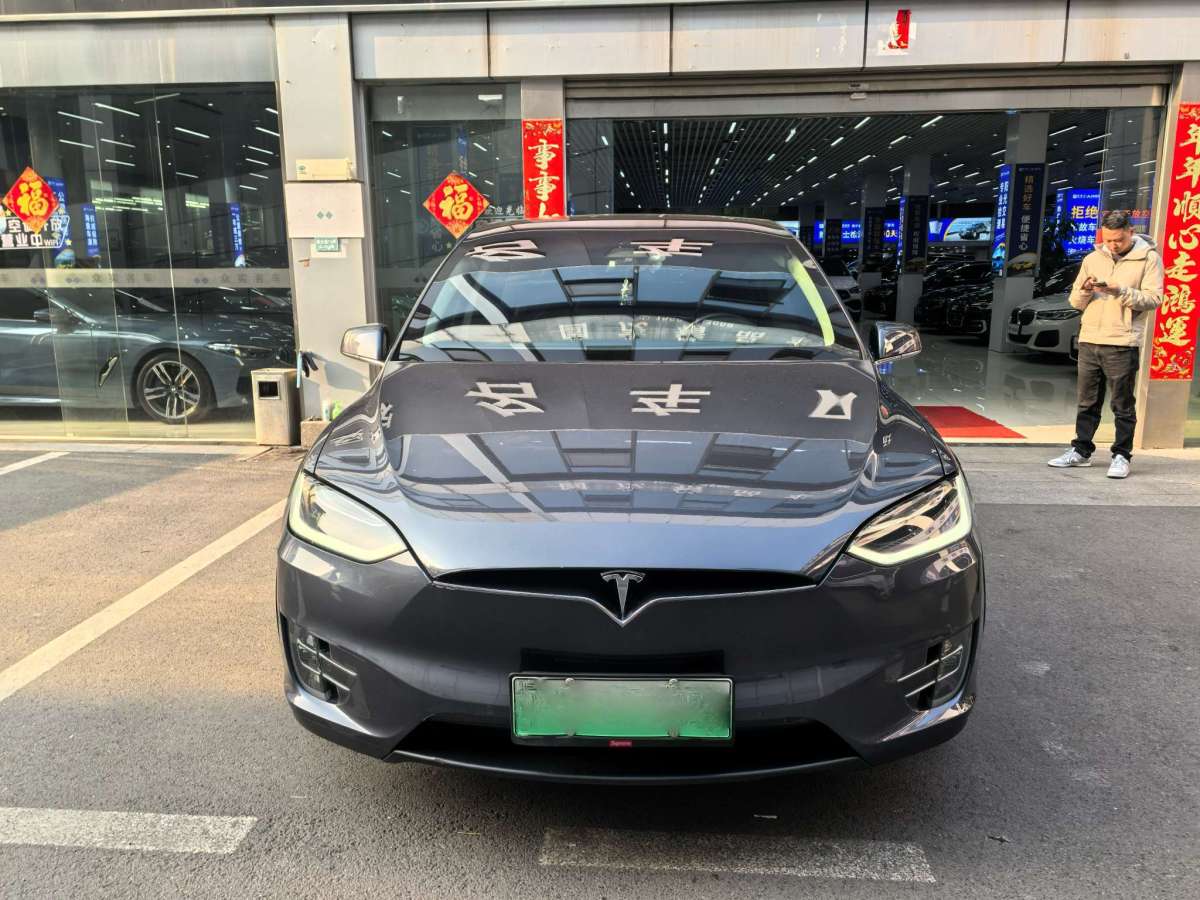 特斯拉 Model X  2017款 Model X 100D 長續(xù)航版圖片