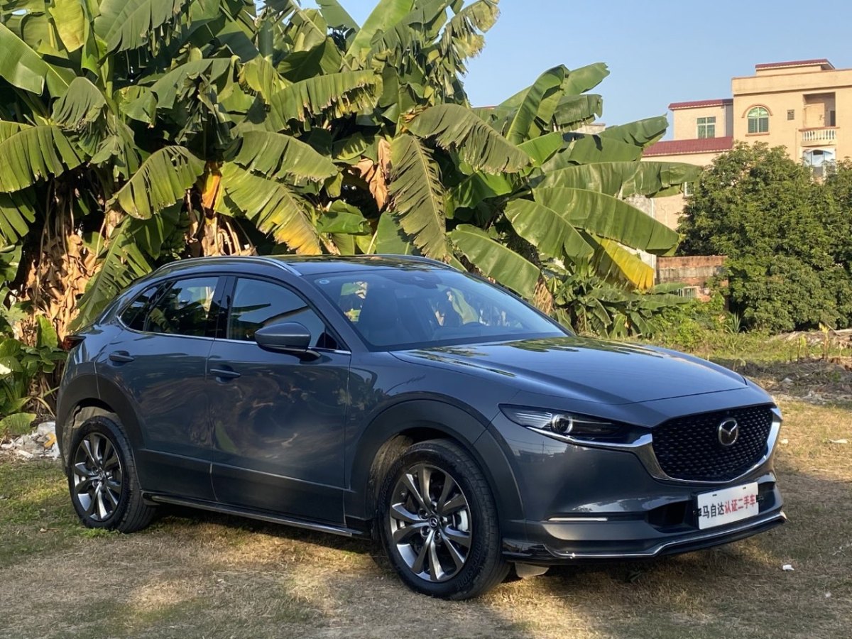 馬自達(dá) CX-30  2020款 2.0L X壓燃尊榮型圖片