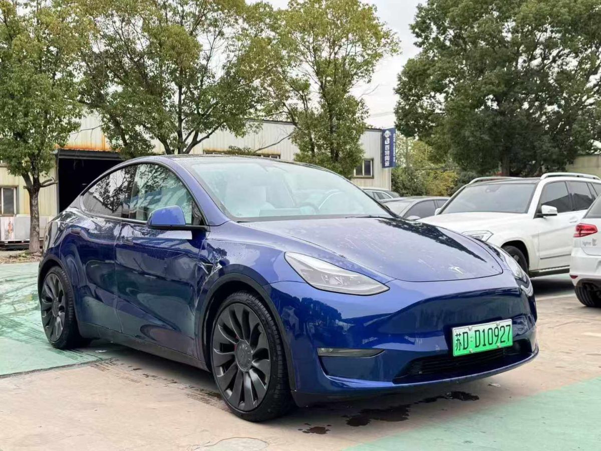 特斯拉 Model 3  2022款 Performance高性能全輪驅(qū)動版圖片