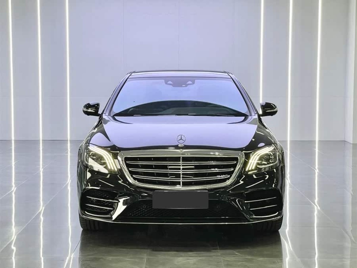 奔馳 奔馳S級  2020款 S 450 L 4MATIC 臻藏版圖片