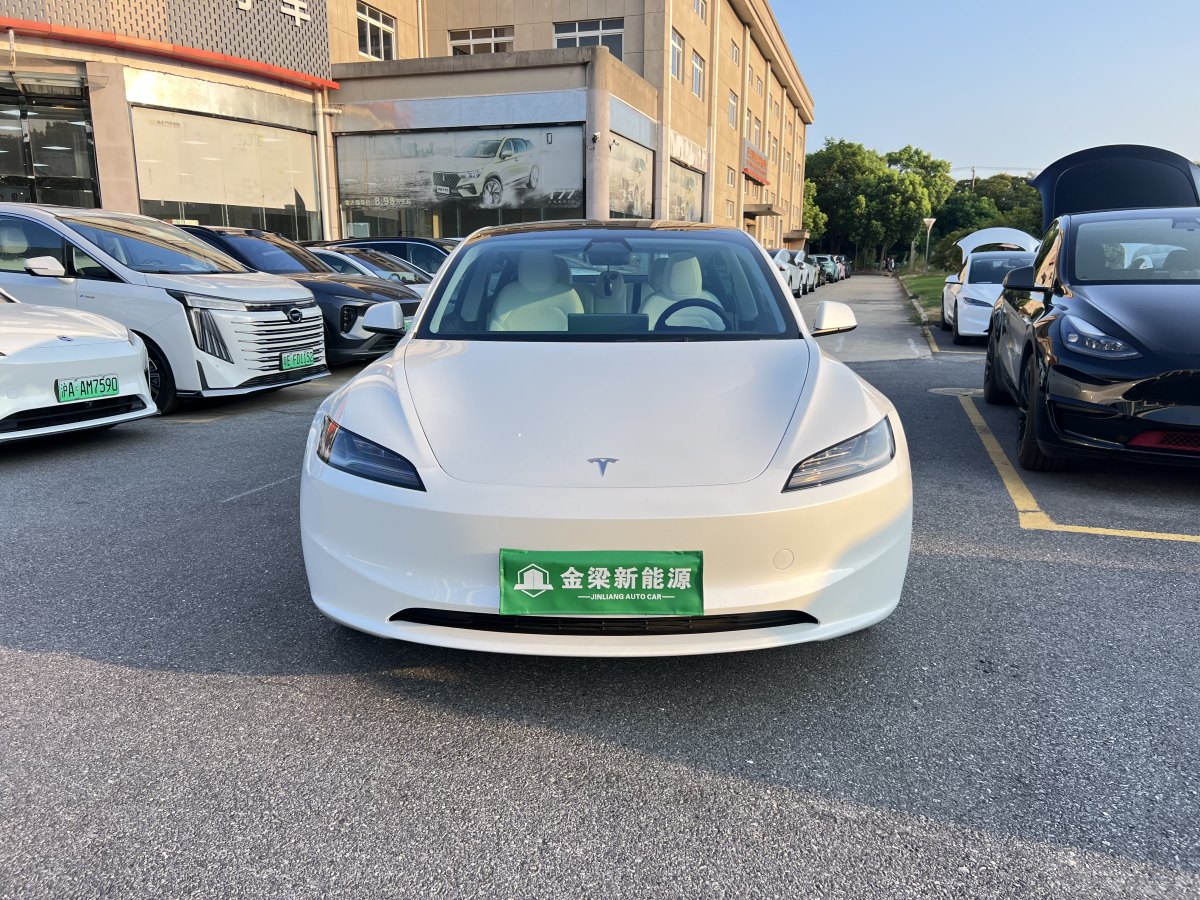 2024年1月特斯拉 Model 3  2023款 長續(xù)航煥新版 雙電機(jī)全輪驅(qū)動