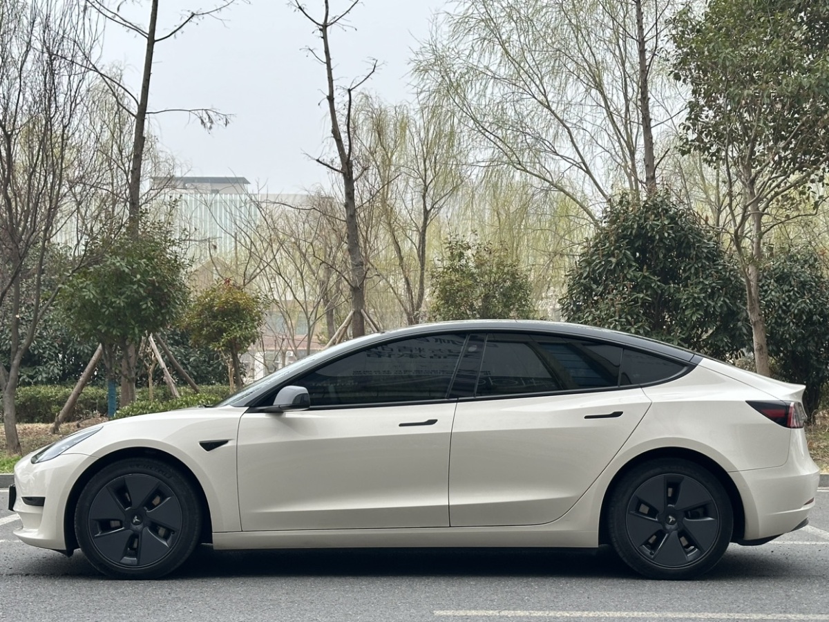 2021年09月特斯拉 Model 3  2021款 標(biāo)準(zhǔn)續(xù)航后驅(qū)升級版 3D6