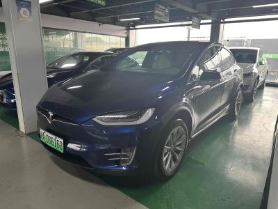 2021年1月 特斯拉 Model X 長續(xù)航升級(jí)版圖片