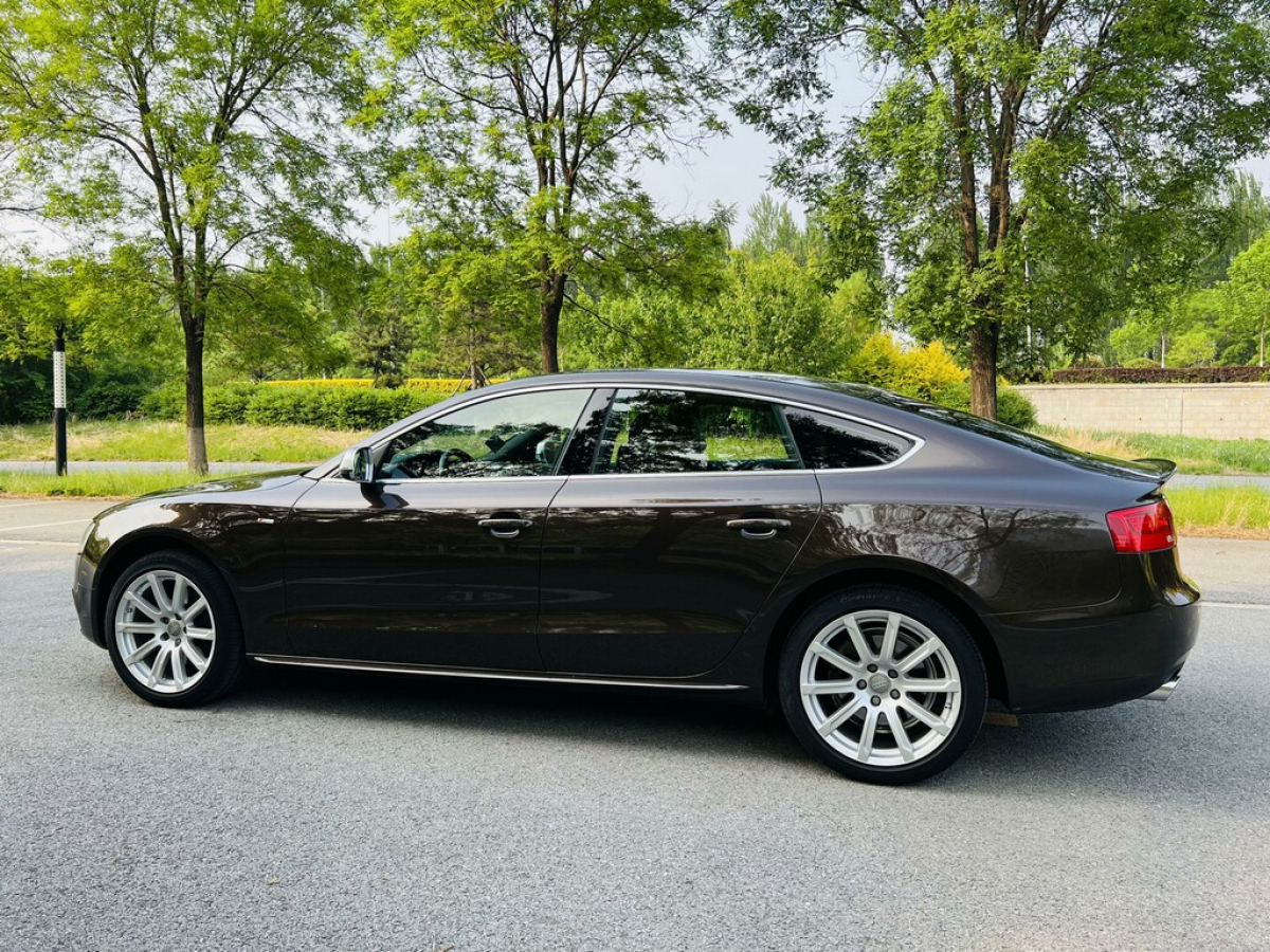 奥迪 奥迪A5  2014款 Sportback 45 TFSI风尚版图片