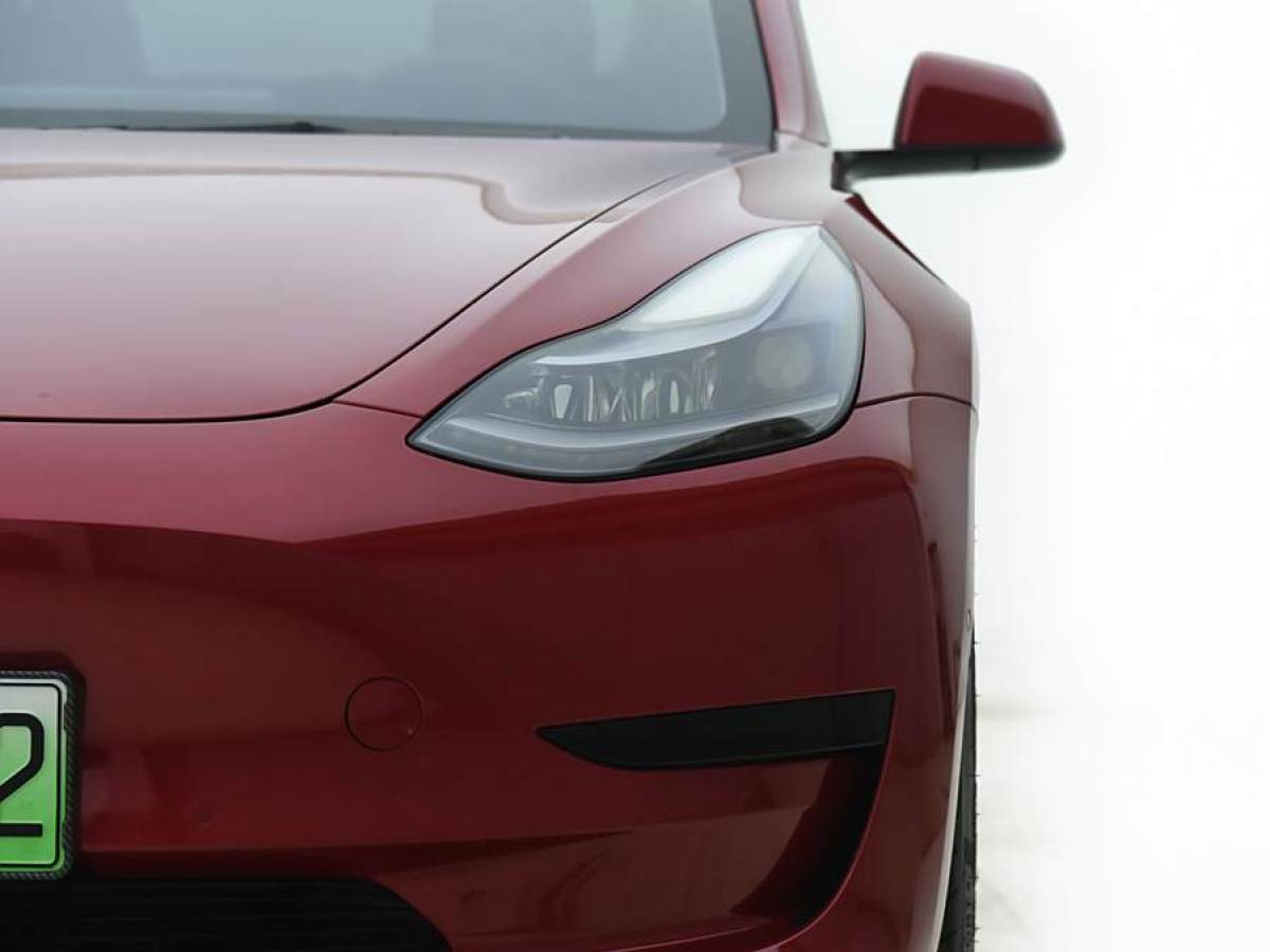 特斯拉 Model 3  2019款 標(biāo)準(zhǔn)續(xù)航后驅(qū)升級(jí)版圖片