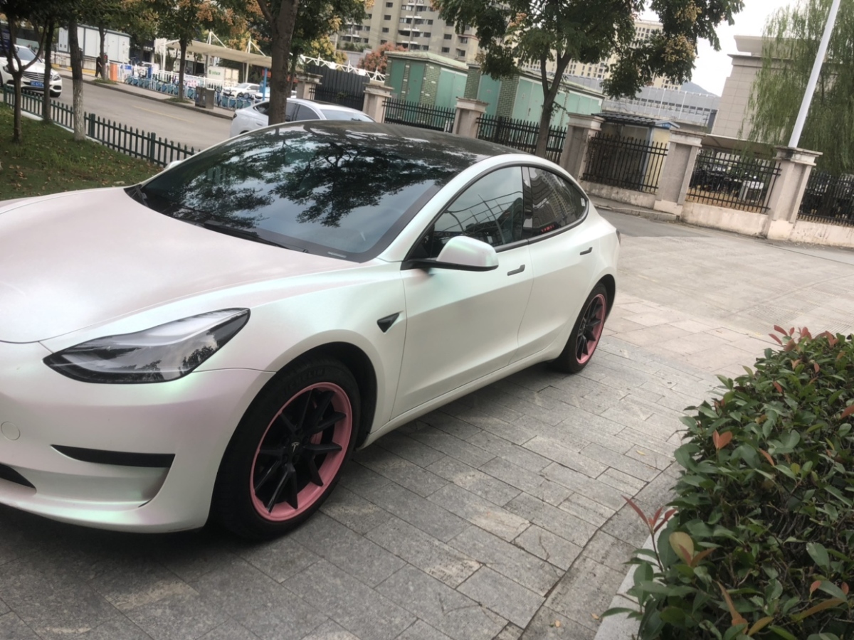 特斯拉 Model 3  2022款 改款 后輪驅(qū)動(dòng)版圖片