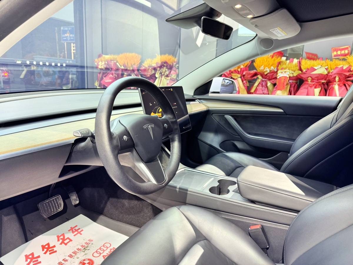 特斯拉 Model 3  2019款 標(biāo)準(zhǔn)續(xù)航后驅(qū)升級(jí)版圖片