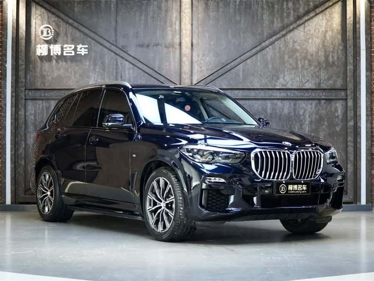 寶馬 寶馬X5  2020款 xDrive30i M運(yùn)動(dòng)套裝圖片