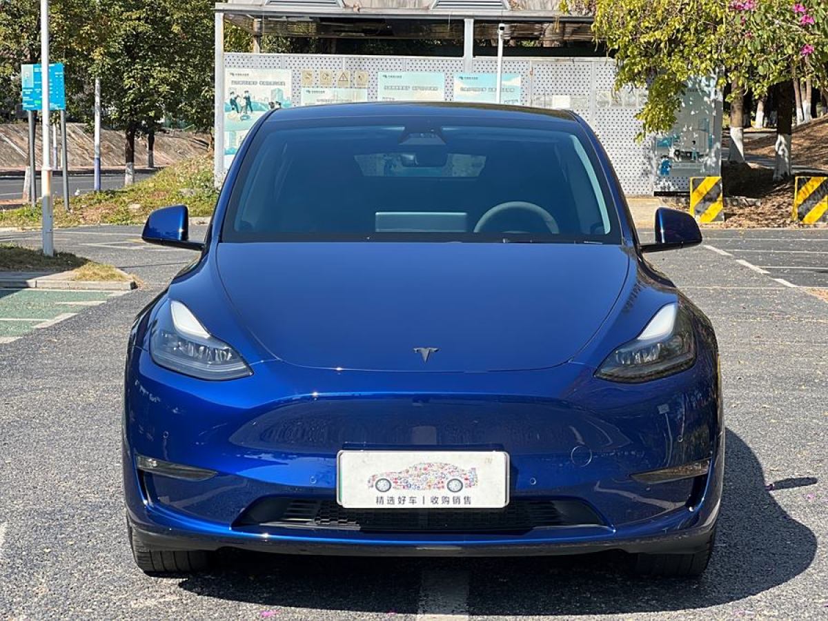 特斯拉 Model Y  2021款 改款 長續(xù)航全輪驅(qū)動(dòng)版圖片