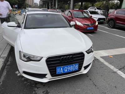 2014年3月 奧迪 奧迪A5(進口) Sportback 45 TFSI風(fēng)尚版圖片