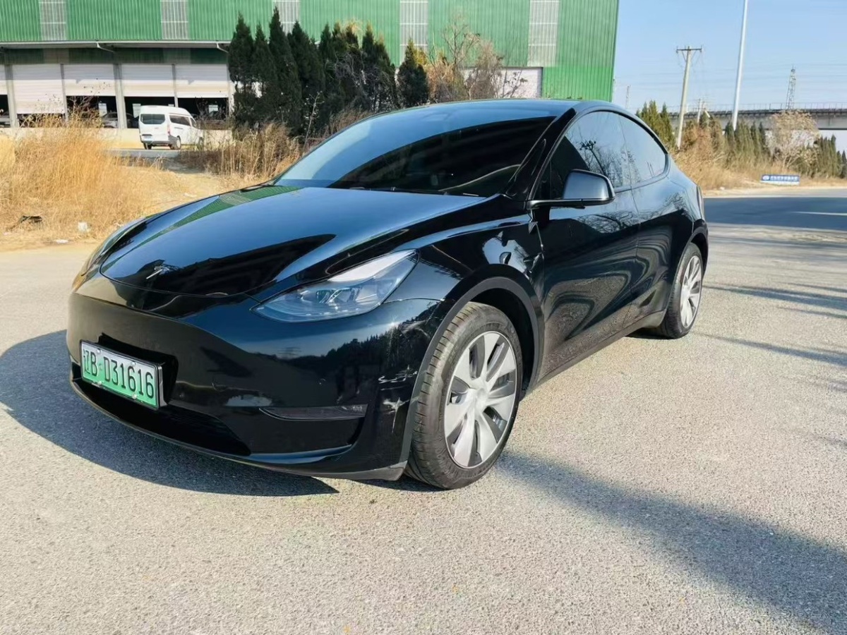 特斯拉 Model Y  2021款 標(biāo)準(zhǔn)續(xù)航后驅(qū)版圖片