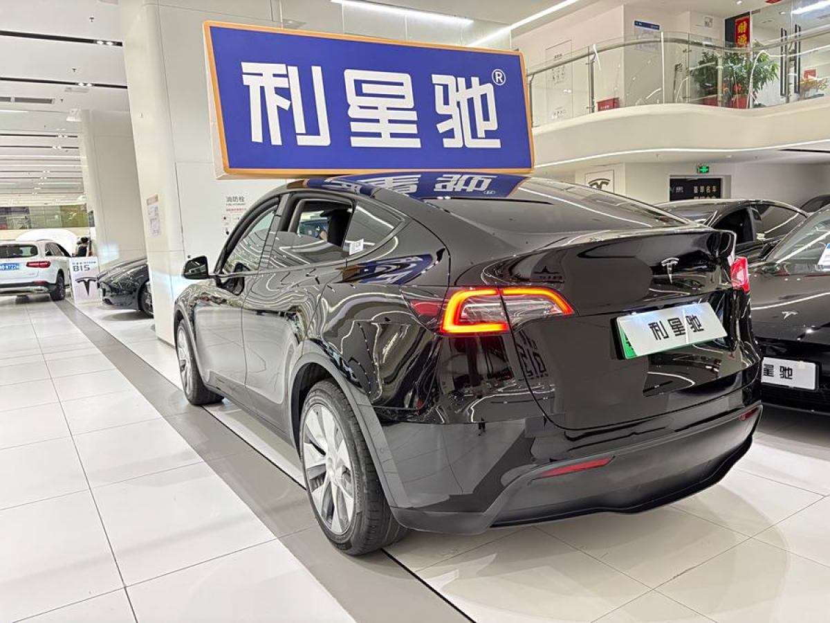 特斯拉 Model Y  2020款 改款 長續(xù)航后輪驅(qū)動(dòng)版圖片