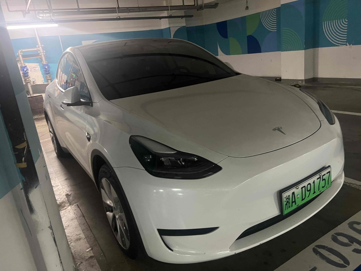 特斯拉 Model Y  2020款 改款 長續(xù)航后輪驅(qū)動版圖片