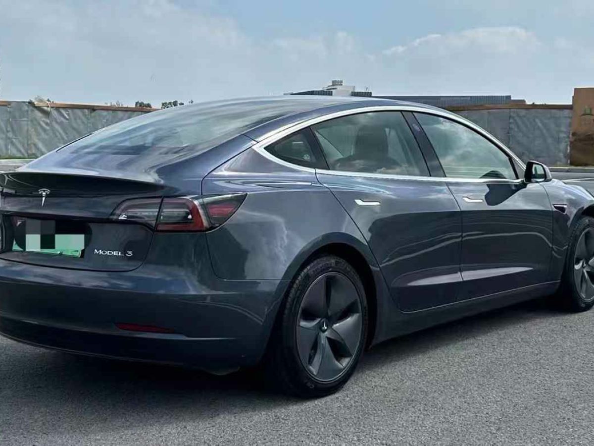 特斯拉 Model X  2020款 Performance 高性能版圖片