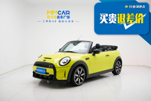 MINI MINI 2.0T COOPER S CABRIO 藝術家
