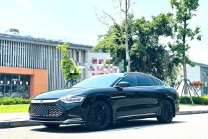 漢 比亞迪 DM 四驅(qū)性能版豪華型