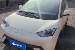 海鷗 比亞迪 305km 活力版