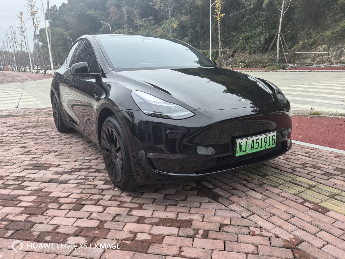 特斯拉 Model 3  2021款 改款 標(biāo)準(zhǔn)續(xù)航后驅(qū)升級版圖片