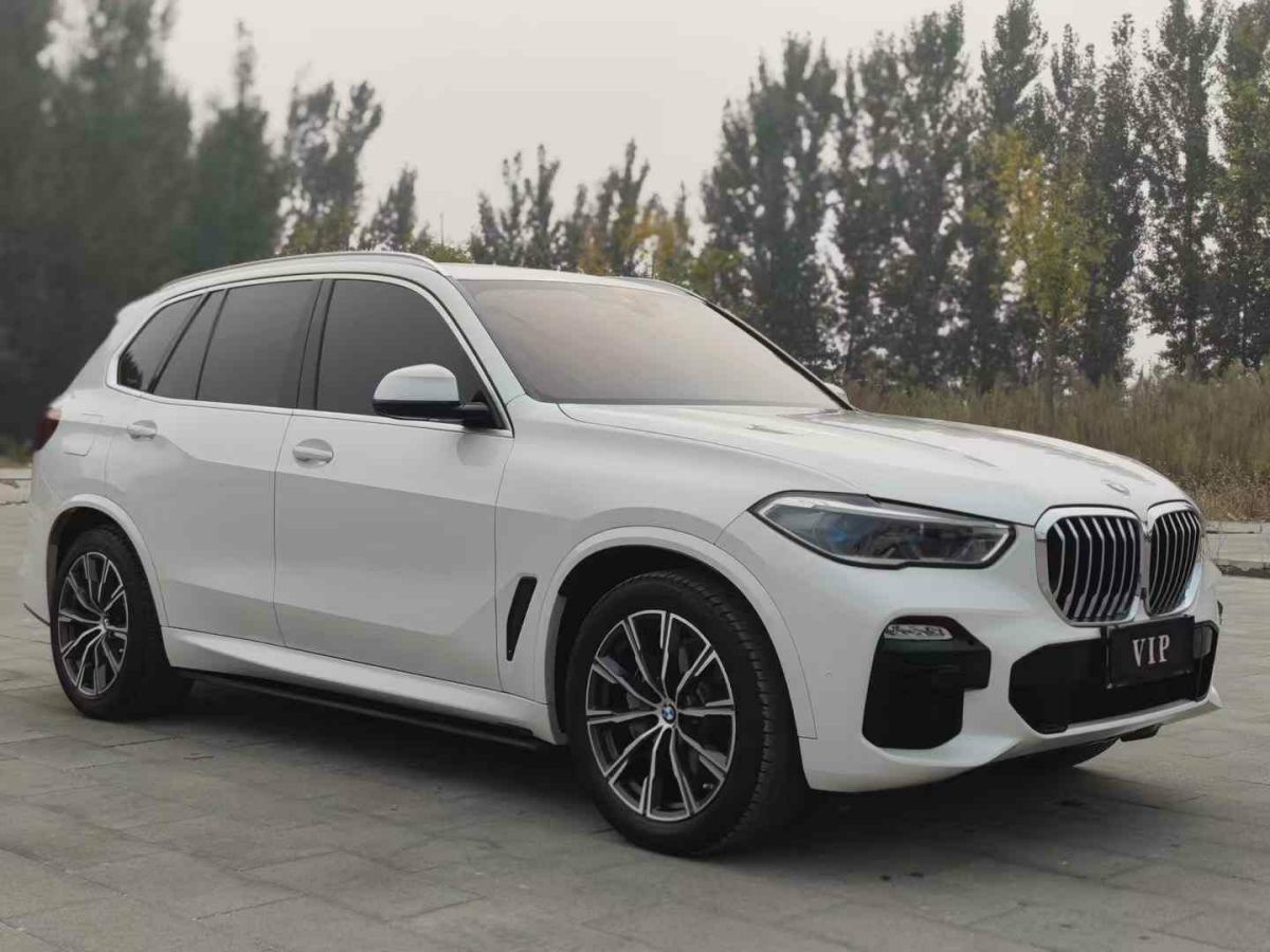 寶馬 寶馬X5  2019款 xDrive30i X設計套裝圖片