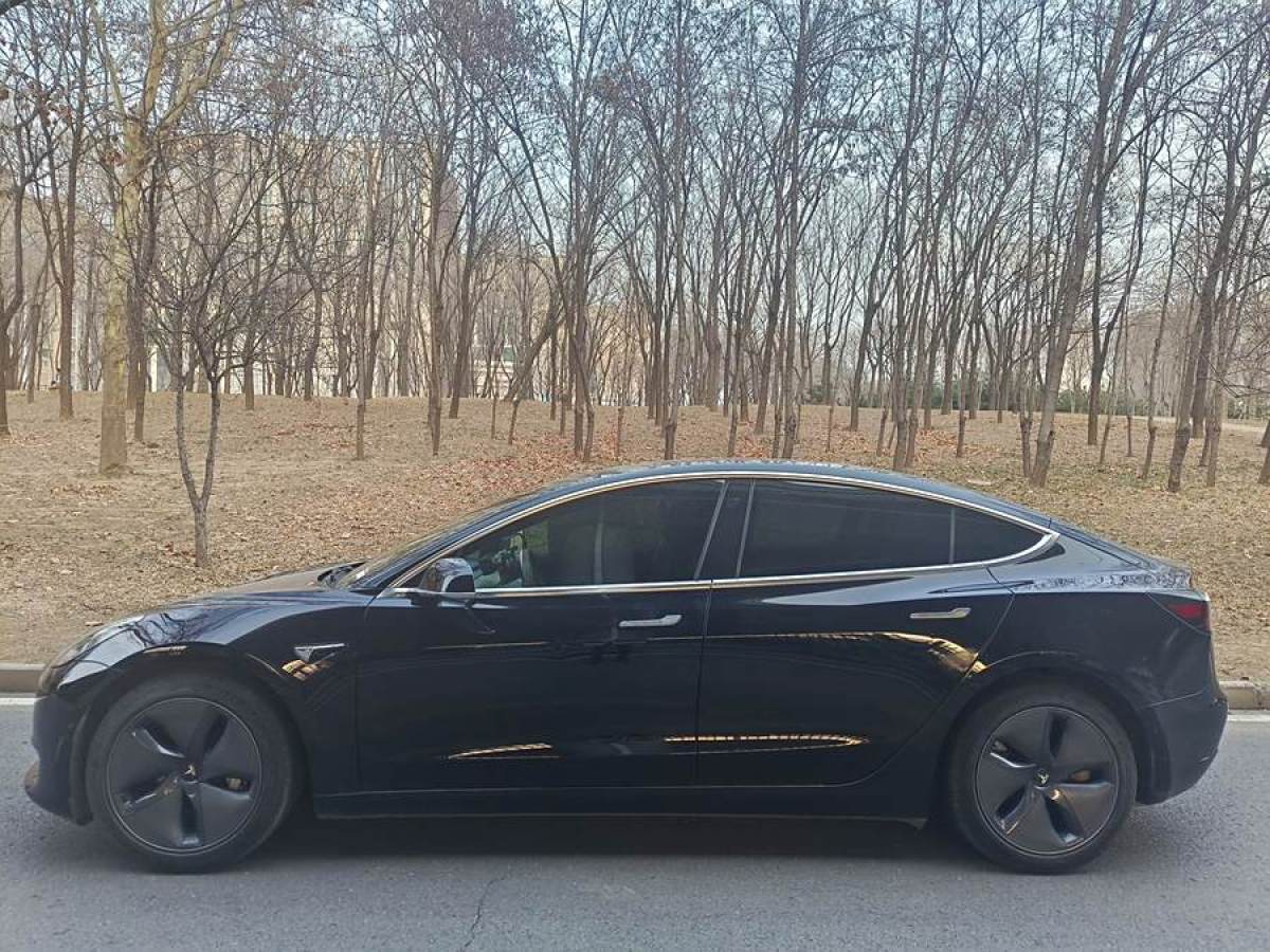 2020年12月特斯拉 Model 3  2020款 改款 標(biāo)準(zhǔn)續(xù)航后驅(qū)升級版