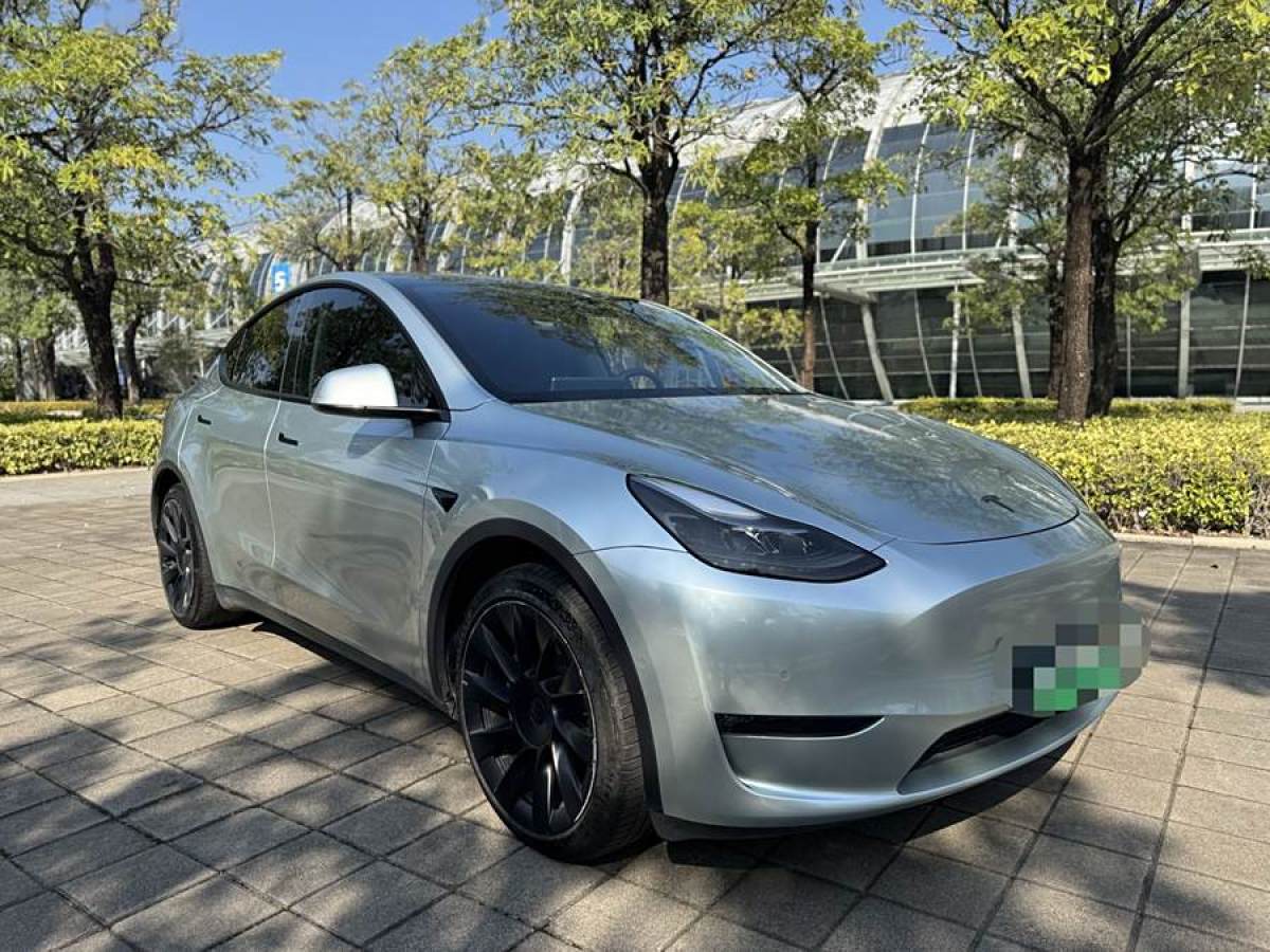 特斯拉 Model 3  2021款 改款 標(biāo)準(zhǔn)續(xù)航后驅(qū)升級(jí)版圖片