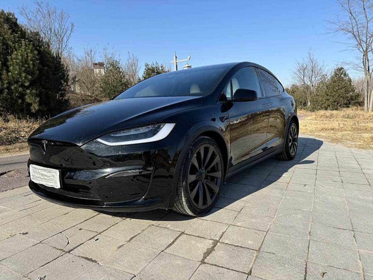 特斯拉 Model X  2023款 雙電機(jī)全輪驅(qū)動(dòng)版圖片