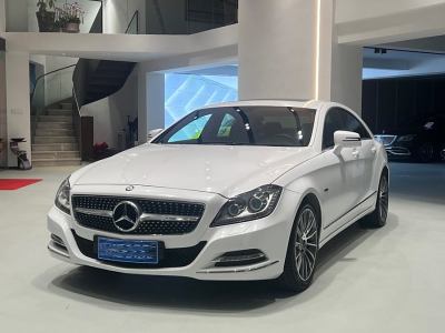 2012年5月 奔馳 奔馳CLS級(進口) CLS 300 CGI圖片