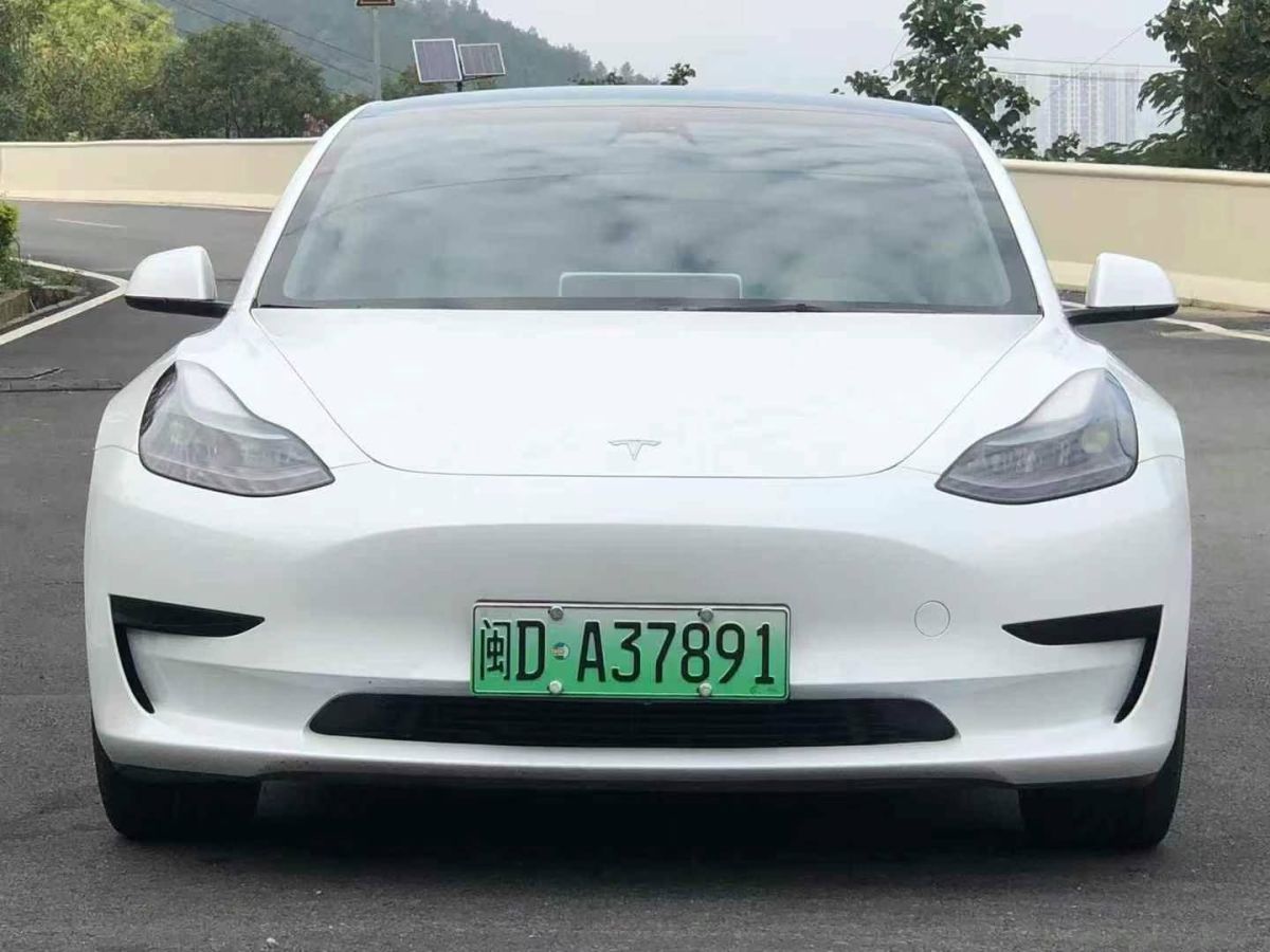 特斯拉 Model S  2023款 三電機(jī)全輪驅(qū)動(dòng) Plaid版圖片