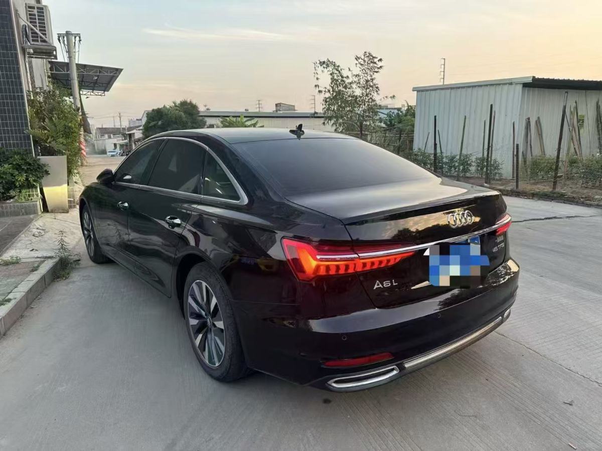 奥迪 奥迪A6L  2020款 45 TFSI 臻选致雅型图片